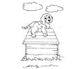 Dog43