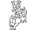 Dogs2