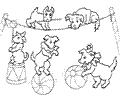 Dogs3