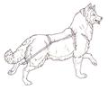 Mural Tsb Sled Dog Running Head Up