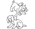 Pet Dog 008