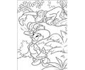 Donald 10