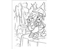 Donald61