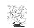 Donald 65