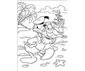 Donald Duck 103