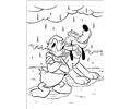 Donald Duck 125
