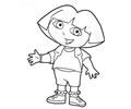 The Explorer 