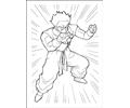 Dragon Ballz