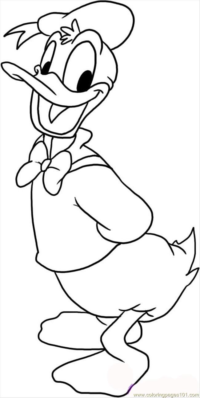 Coloring Pages Ow To Draw Donald Duck Step 5 (Birds > Ducks) - free