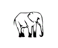 Elephant 02