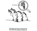 Environment Coloring Page 12