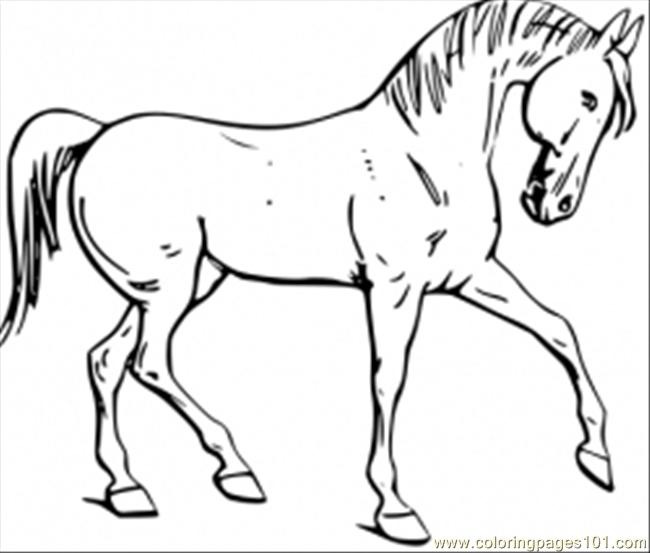 free coloring pages online horses - photo #7