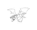 Dragon (7)