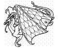 Dragons1 (18)