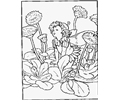 Fairy 1 (14)