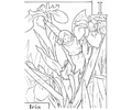 Fairy 1 (1)