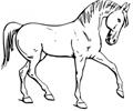 Horse Coloring Pages