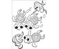 Nemo And Friends