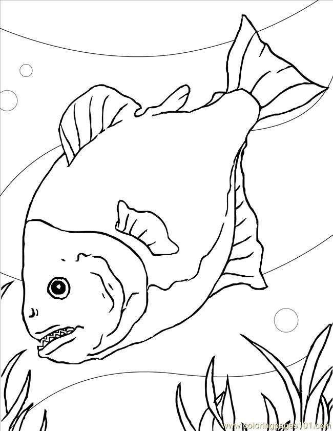 Coloring Pages Piranha Ink (Animals > Fishes) - free printable coloring