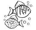 Fish2