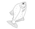 Fish16