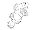 Fish51