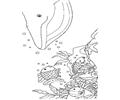 Fish61