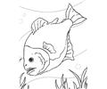 Piranha Ink