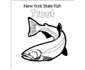 Trout
