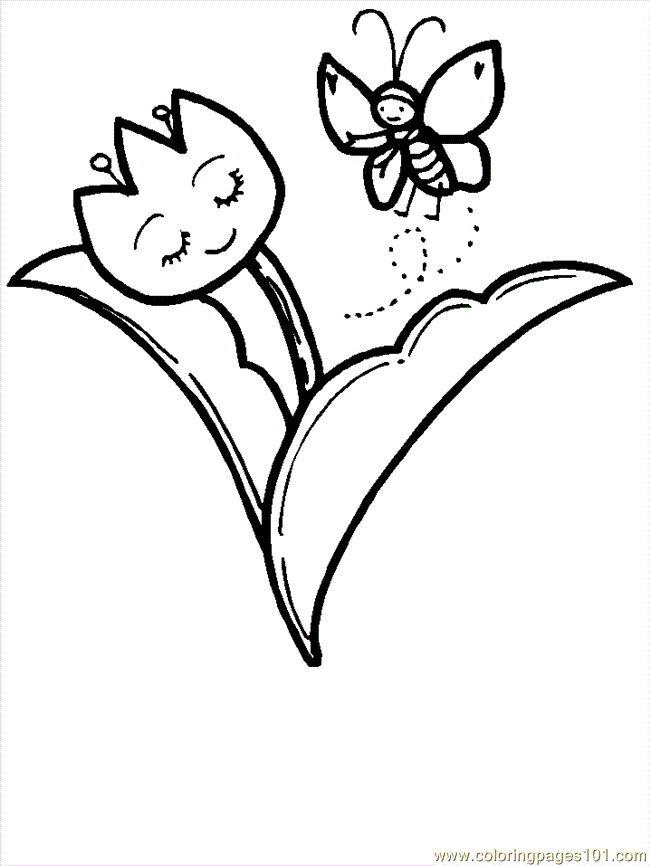 Butterfly01