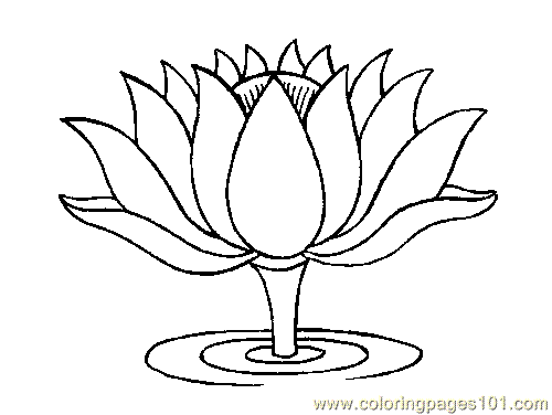 Flower Coloring Page 18