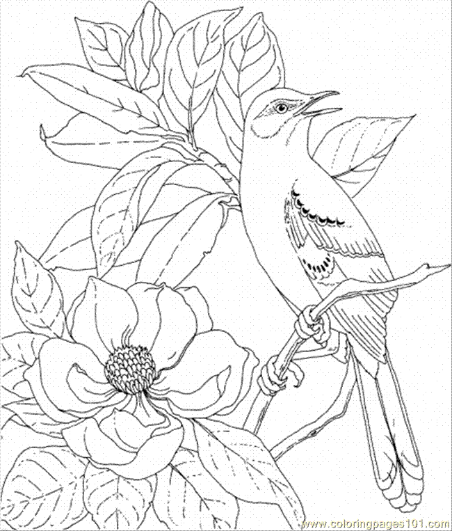macaw coloring pages super coloring flowers - photo #33