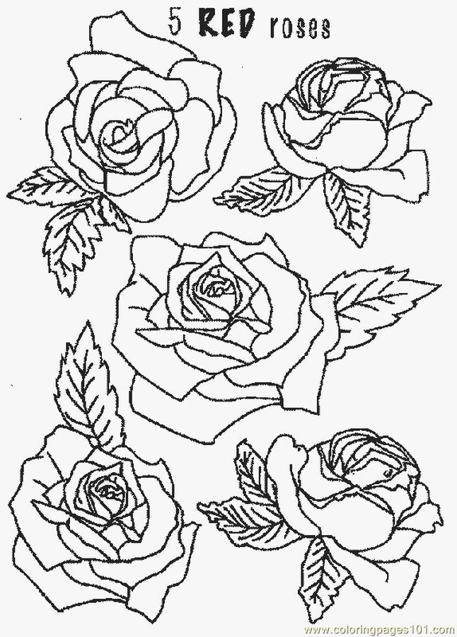 Roses coloring page - Free Printable Coloring Pages