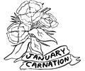 01 January   Carnation 1