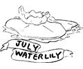 07 July   Water Lily