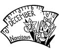 12 December   Narcissus 2
