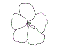 Flower Coloring Pages Hibiscus2