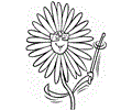 Flower Coloring Pages Ws