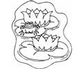 Lily Pads