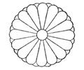 Chrysanthemum 2