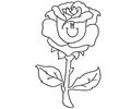 Flower 41