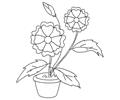 Flower4