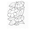 Flower5