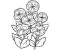 Flower Coloring Page 23