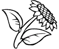 Flower Coloring Page 37