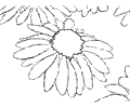 One Flower Coloring Page 0927