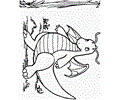 Flying Pokemon