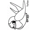 Flying Pokemon