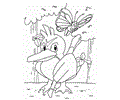 Flying Pokemon