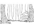 to draw a forest scene step 7